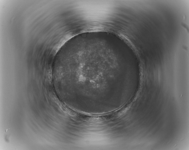 X0000102221457200808151653