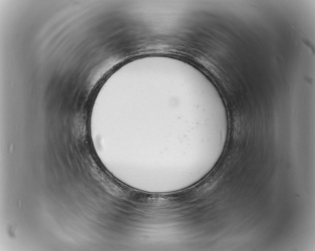 X0000102221458200808151653