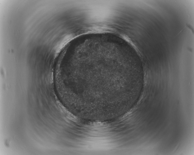 X0000102221459200808151653