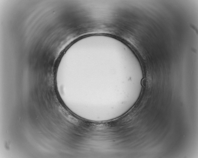 X0000102221460200808151653