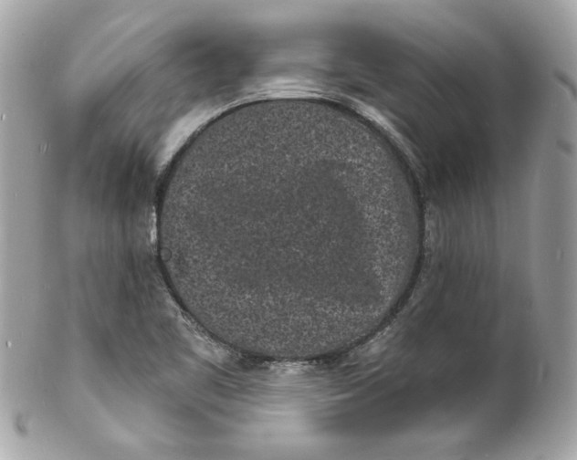 X0000102221461200808151653