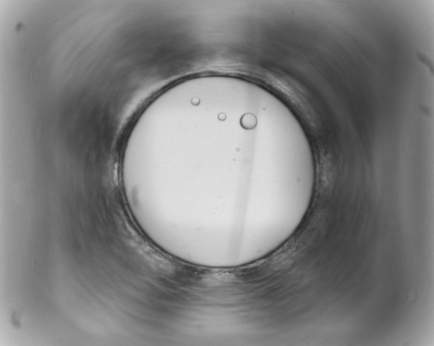 X0000102221462200808151653