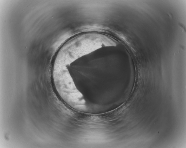 X0000102221463200808151653