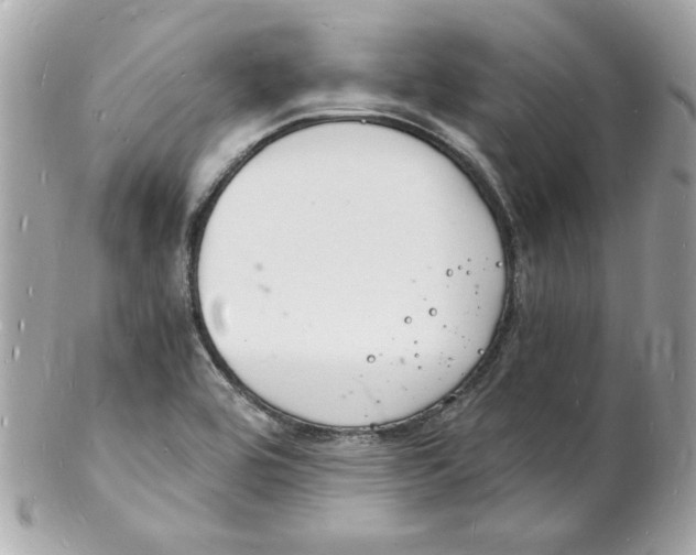 X0000102221464200808151653