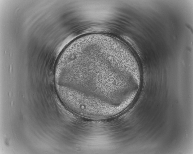 X0000102221465200808151653