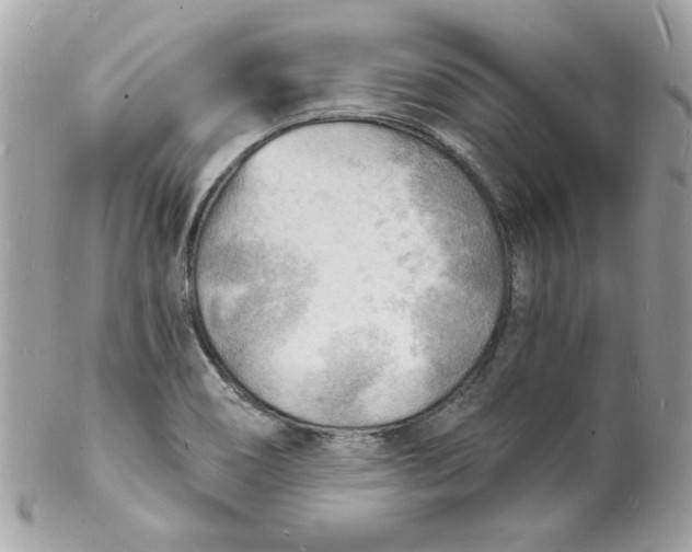 X0000102221466200808151653