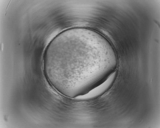 X0000102221467200808151653