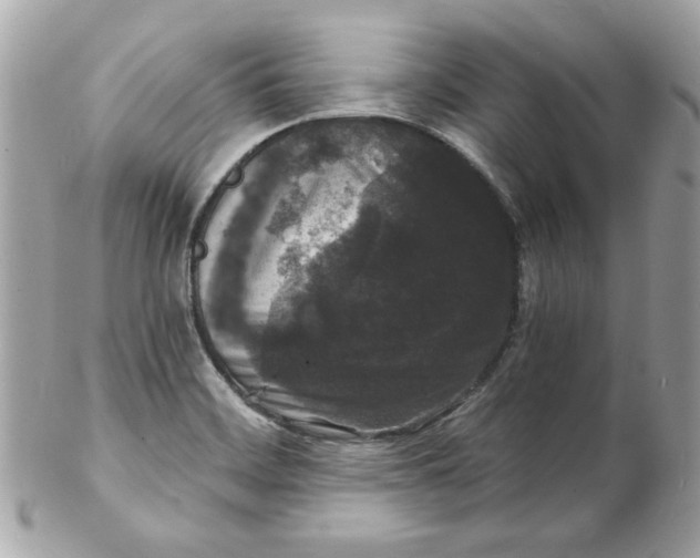 X0000102221468200808151653