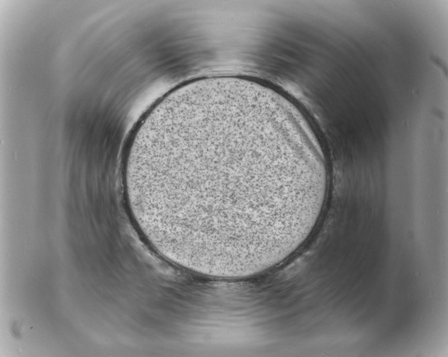 X0000102221469200808151653