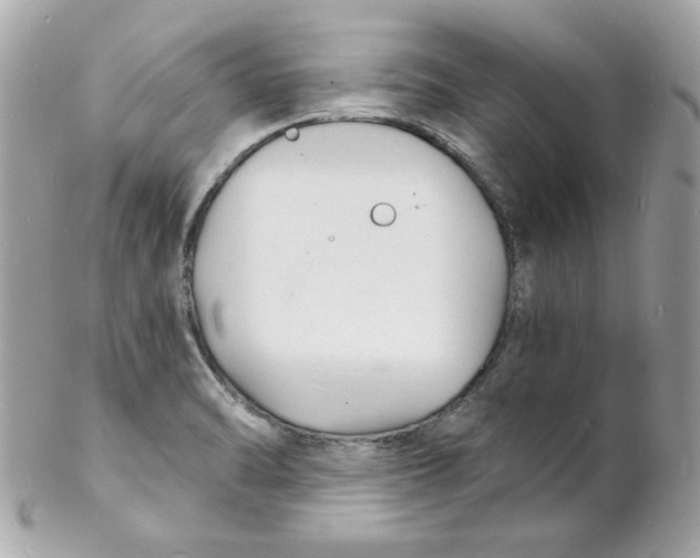 X0000102221470200808151653