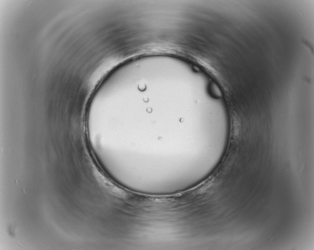 X0000102221471200808151653