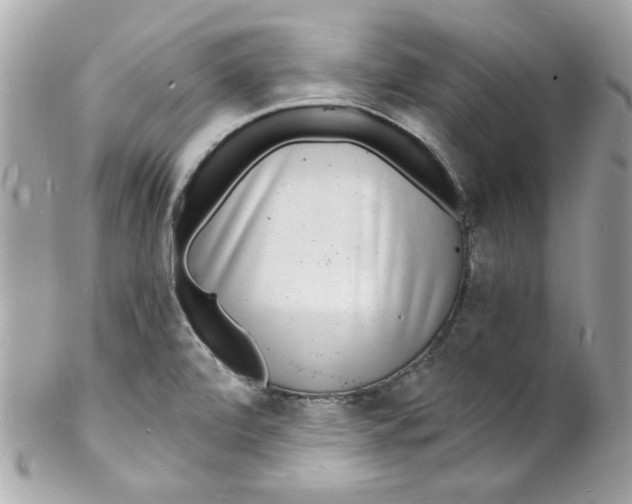 X0000102221472200808151653