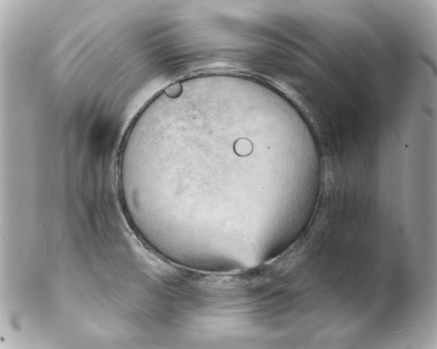 X0000102221474200808151653