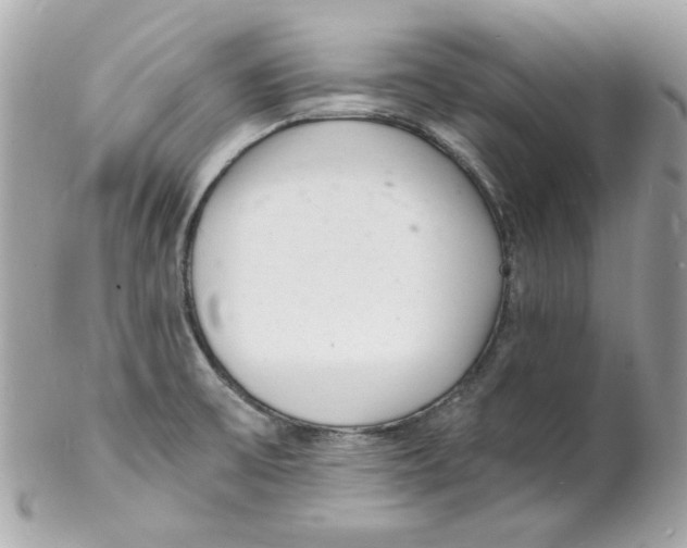 X0000102221475200808151653