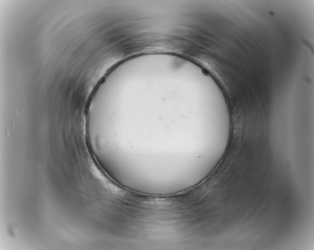 X0000102221476200808151653