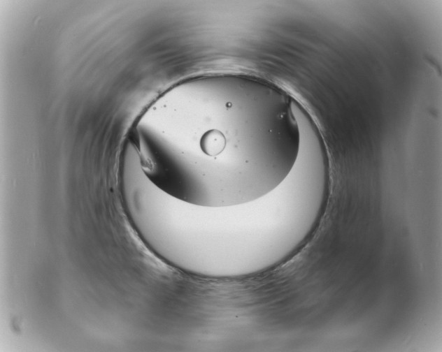 X0000102221477200808151653