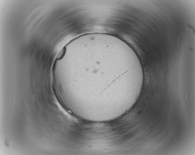 X0000102221479200808151653