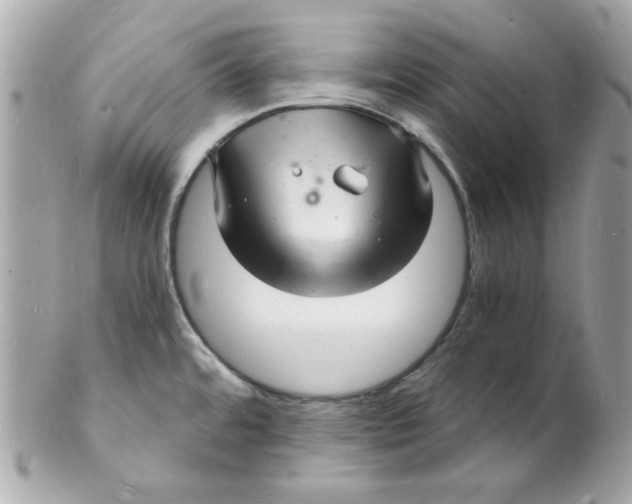 X0000102221480200808151653