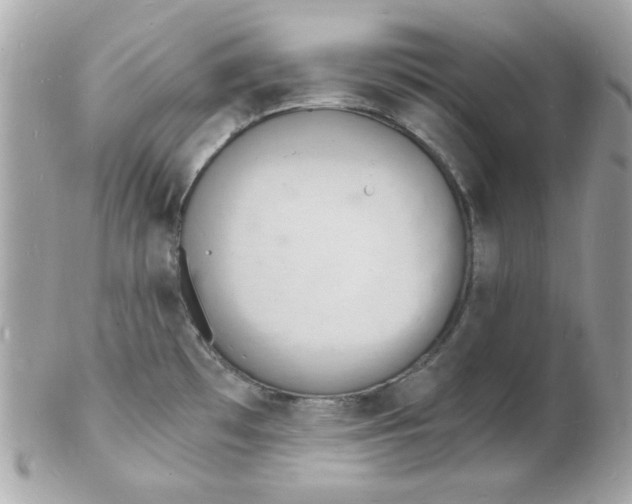 X0000102221481200808151653