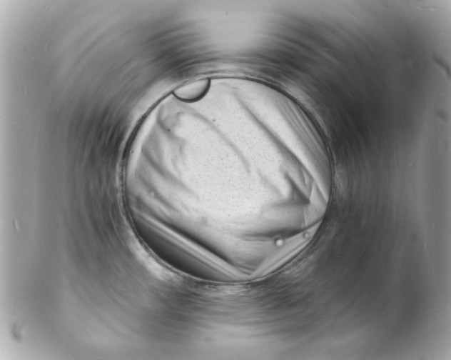 X0000102221482200808151653