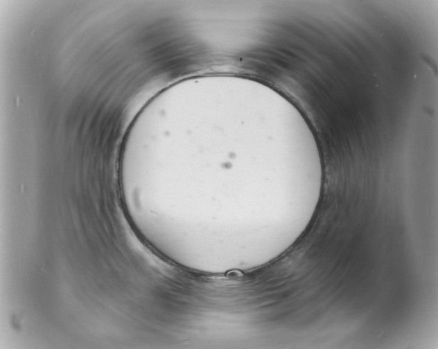 X0000102221483200808151653