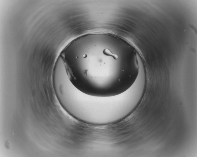 X0000102221484200808151653