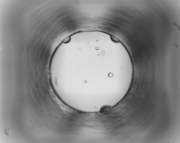 X0000102221485200808151653