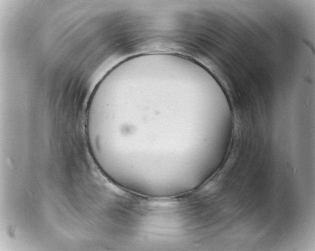 X0000102221486200808151653