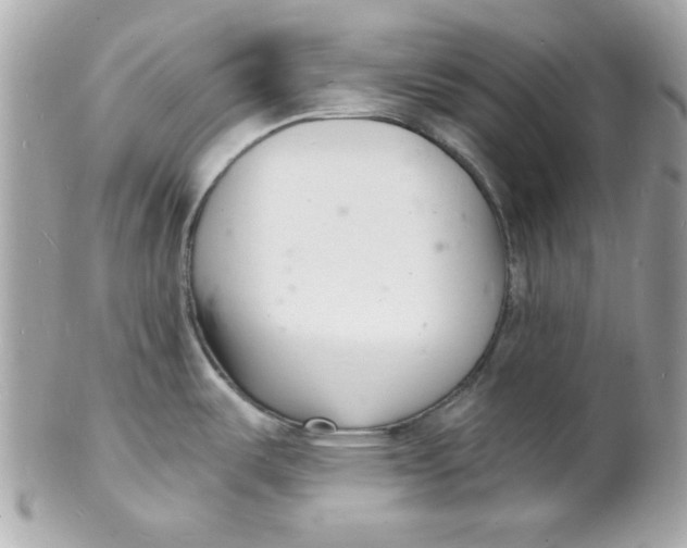 X0000102221487200808151653