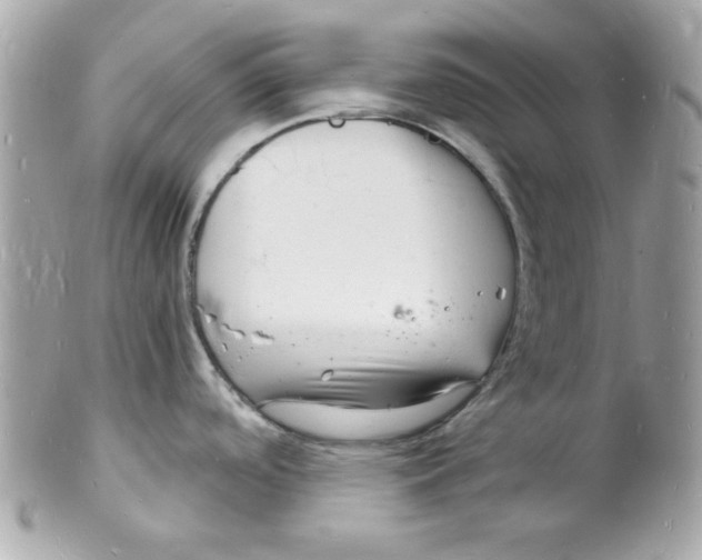 X0000102221488200808151653