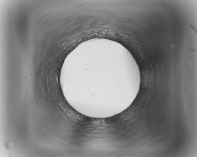 X0000102221489200808151652