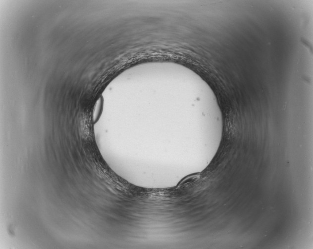 X0000102221490200808151652