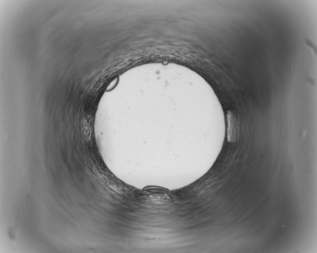 X0000102221491200808151652