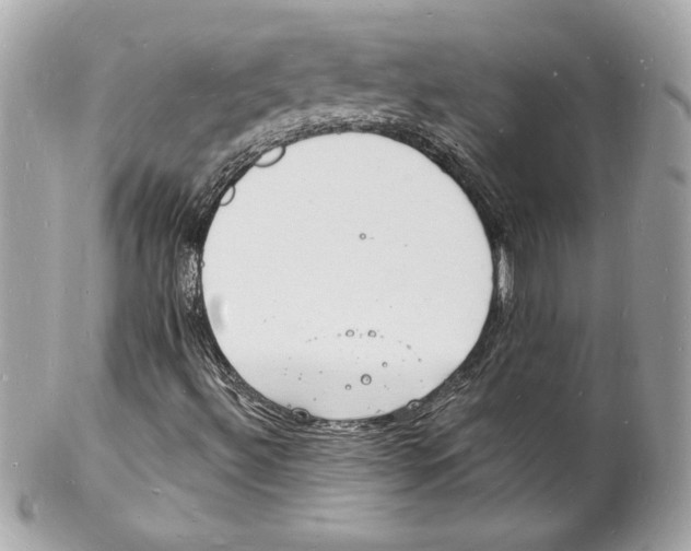 X0000102221492200808151652