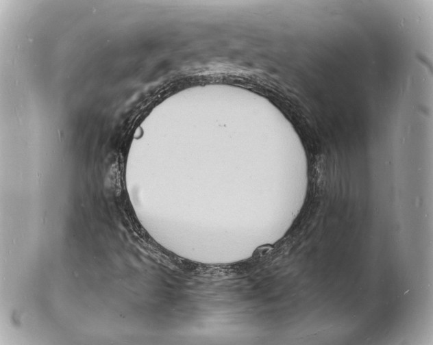 X0000102221493200808151652