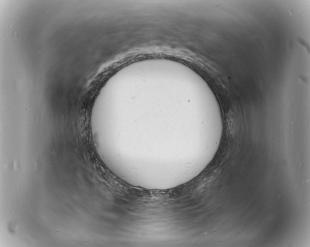 X0000102221494200808151652