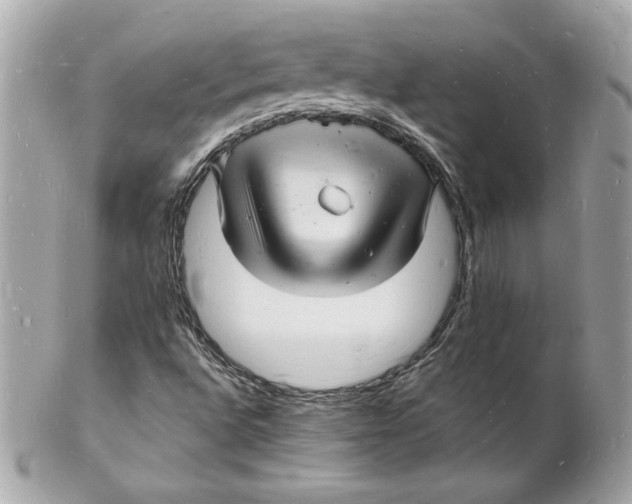 X0000102221496200808151652