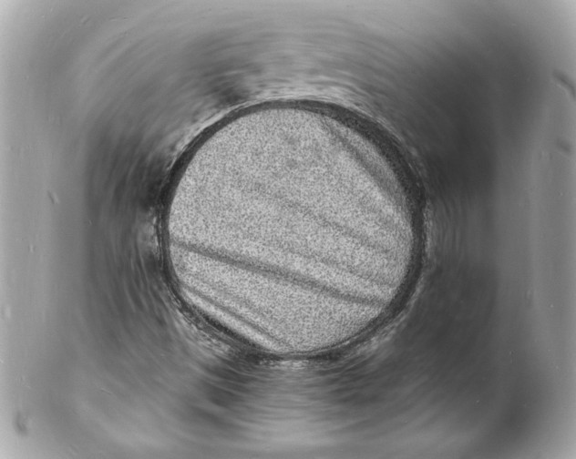 X0000102221497200808151652