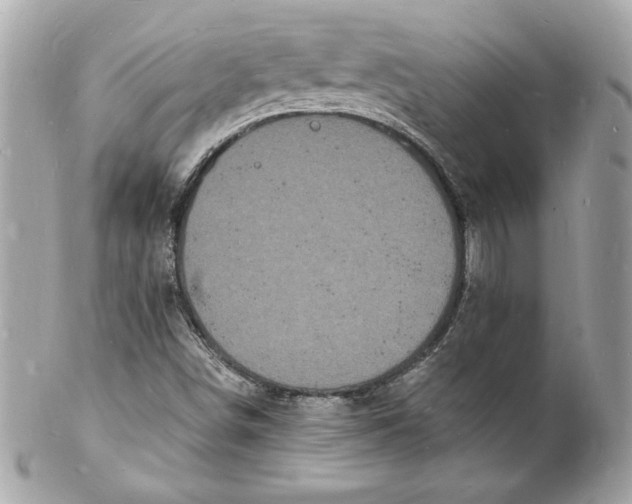 X0000102221498200808151652