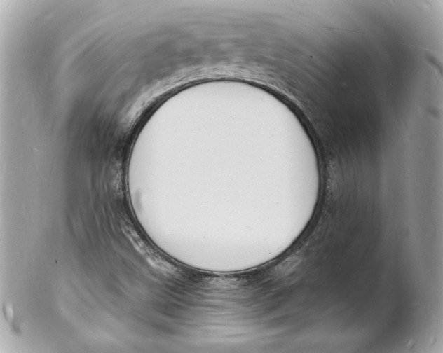 X0000102221499200808151652