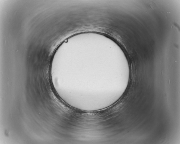 X0000102221500200808151652