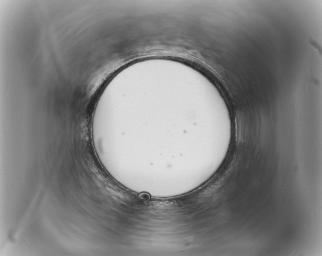 X0000102221501200808151652