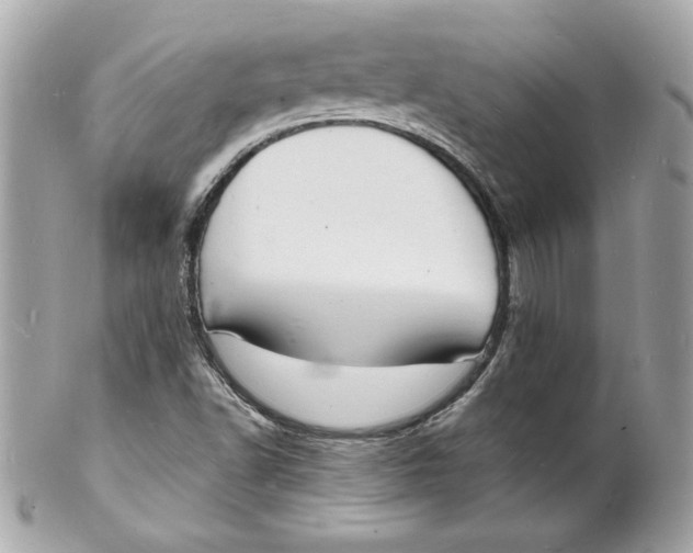 X0000102221502200808151652