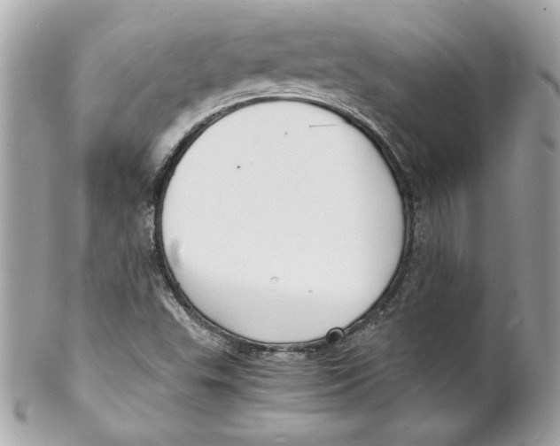 X0000102221503200808151652