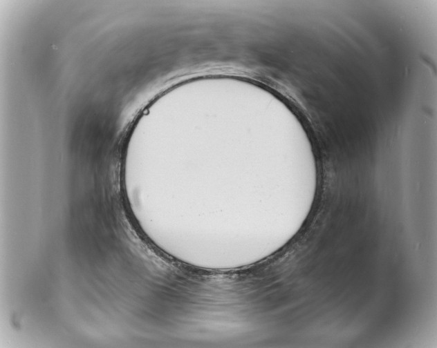 X0000102221504200808151652