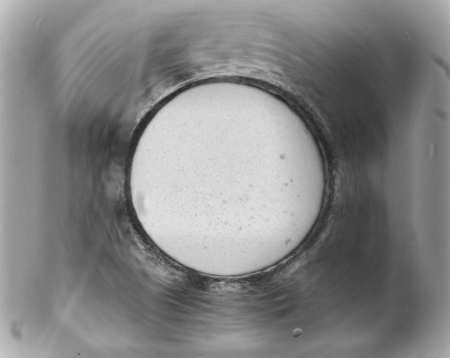 X0000102221505200808151652