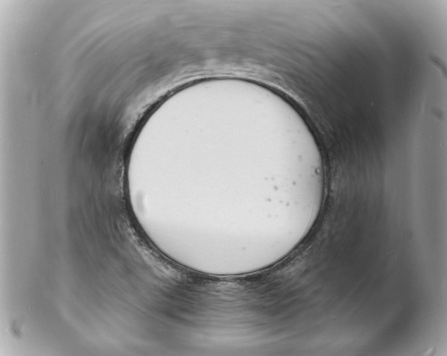 X0000102221507200808151652