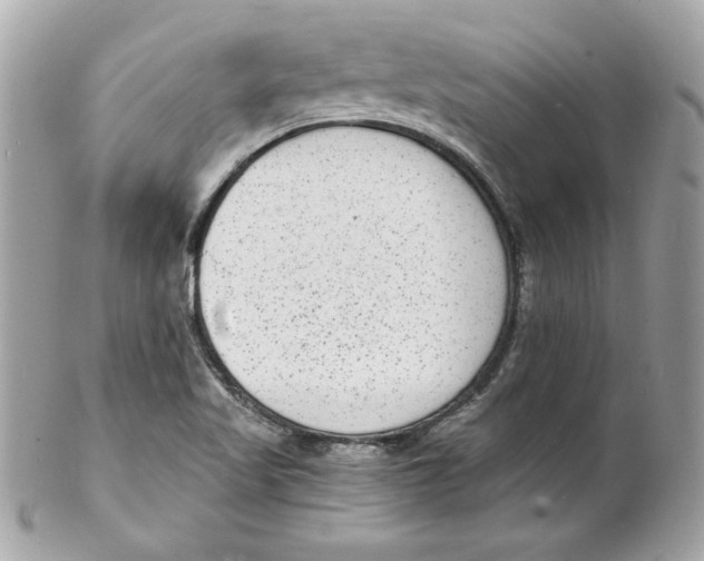 X0000102221509200808151652