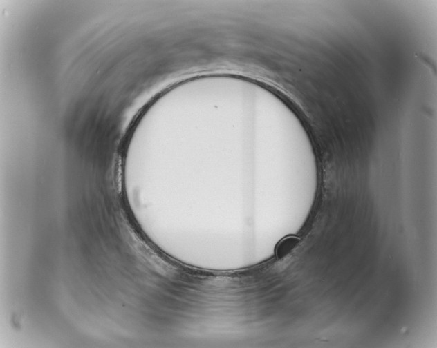 X0000102221510200808151652