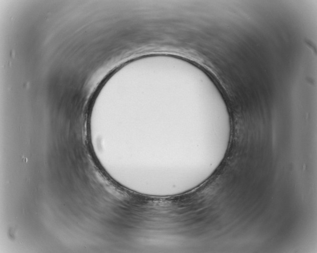 X0000102221511200808151652